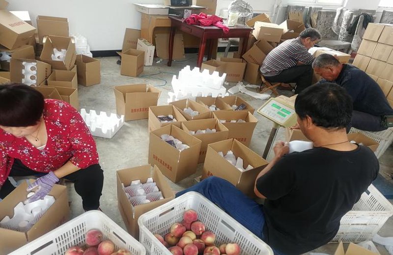 天猫运营行业的最新趋势与挑战